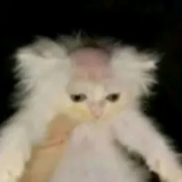 dartemew