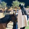 toto_alshatri7