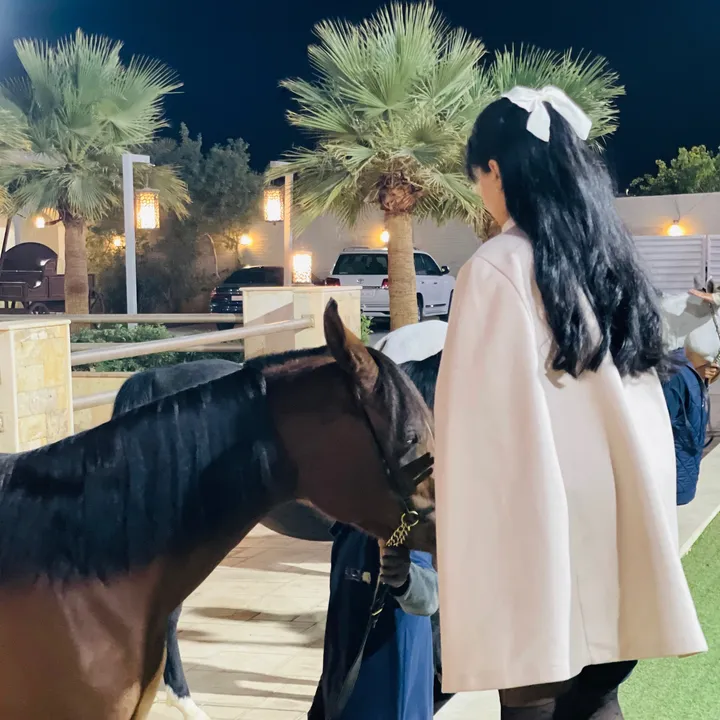 toto_alshatri7