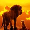 simba16888