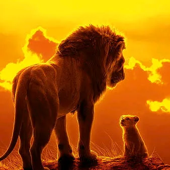 @simba16888