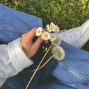@lidia.morales971