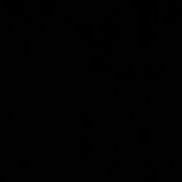 veronikag_1