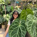 @letsplayplant.sg