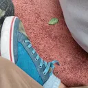 @fredlyyxmlbb