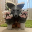 @willows_new_accou