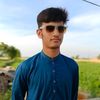 hundaljutt53