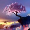 life.of_a.dreamer