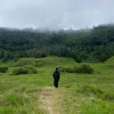 @tripujianto15