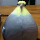 @jayden12_86