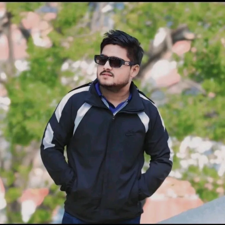 riteshbhai805