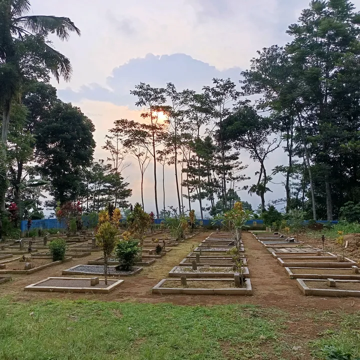 emiarkan8