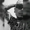 @guanatosink1