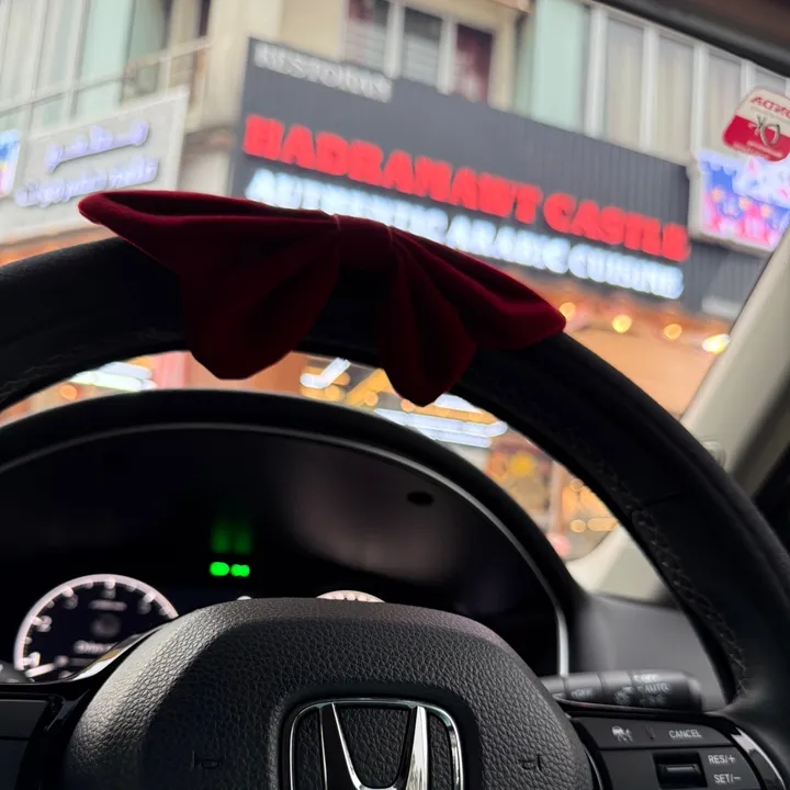 miamasdar