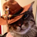 @deliamorgqam