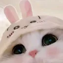 @phyusin501