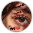 @ziddi.ansari234