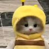 nenayy_lovsunghoon