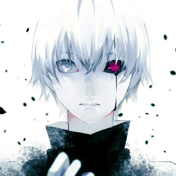 @yz.141