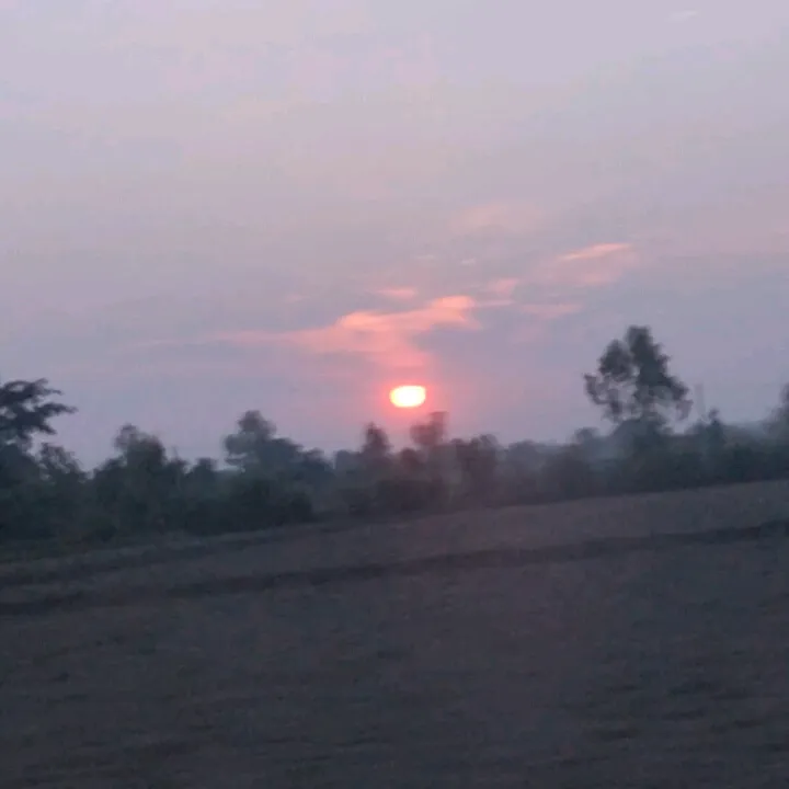 @new555478