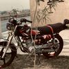 yaarbash3636