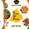 treatsofpunjab