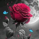 @fani_dunya88