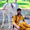 shahwargujjar0