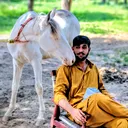 @shahwargujjar0