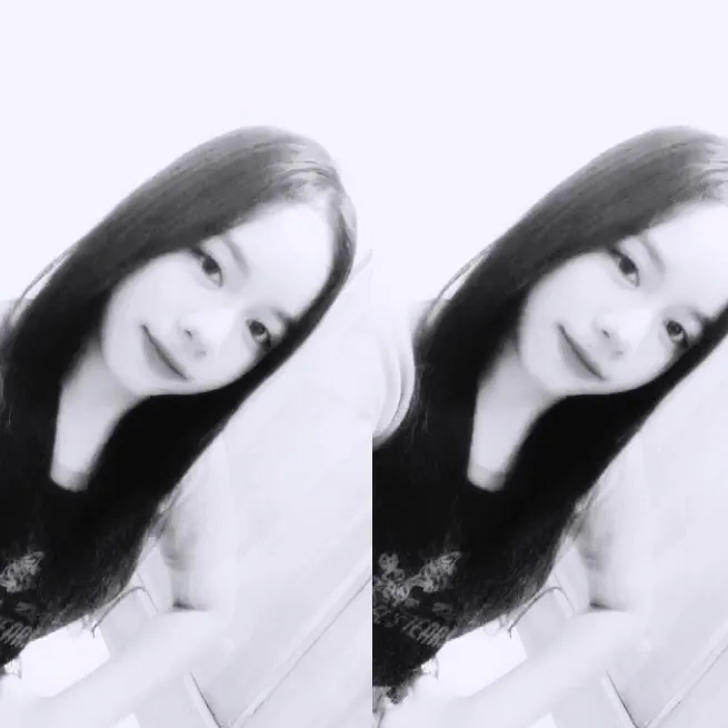 ndyyy509