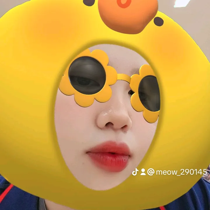 meow_290145