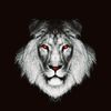 .leo7772