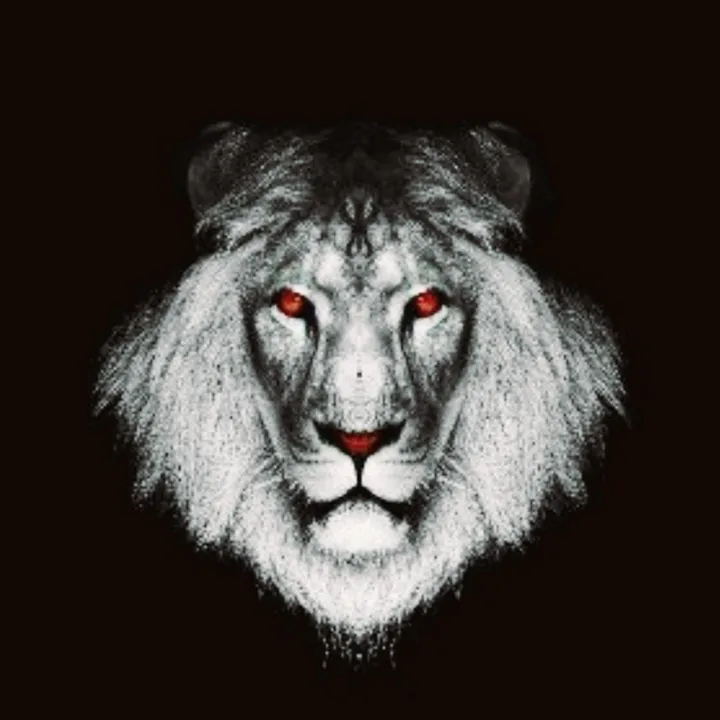 .leo7772