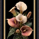 @rene_segov