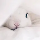 @maybeimtheone666
