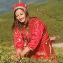 @tamangbimala110