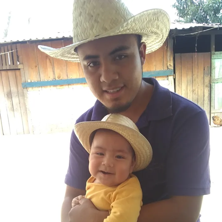 virlan37
