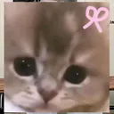 @darian0215