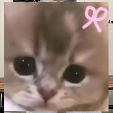 darian0215