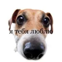 @astafurow