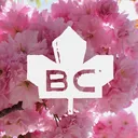 @supernaturalbc