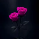 @reelsofumar
