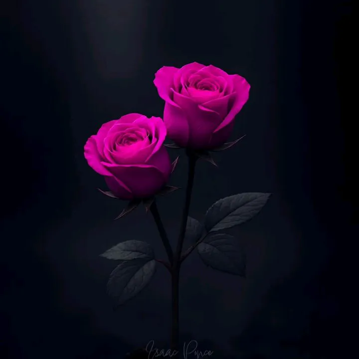 @reelsofumar