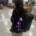 @pvj_10