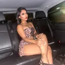 @zerdamir