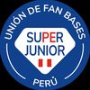 uniondefanbases.sjperu