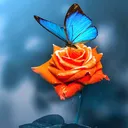 @desimaal7
