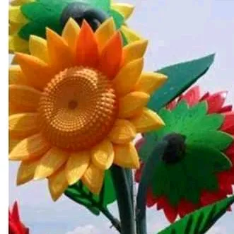 @bijiaithapa