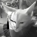 @zir1x