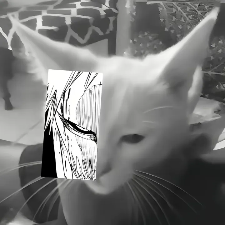 @zir1x